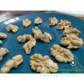 Walnut Kernels Light color